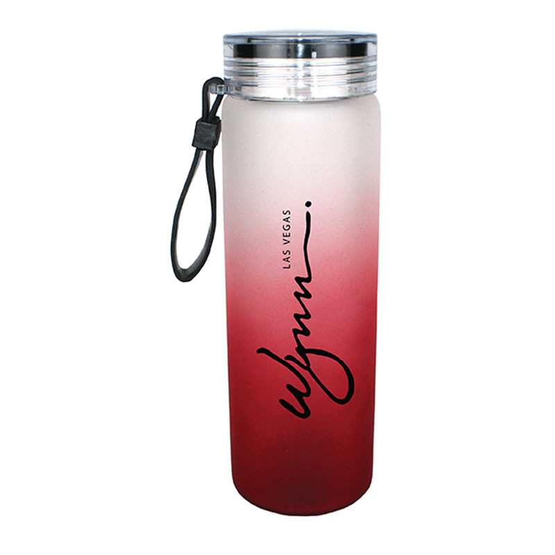 20 oz. Halcyon&reg; Frosted Glass Bottle with Screw on Lid