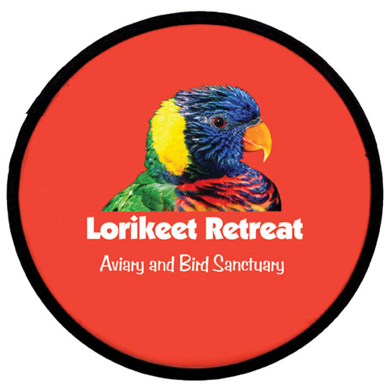 Flexi-flyer, Full Color Digital