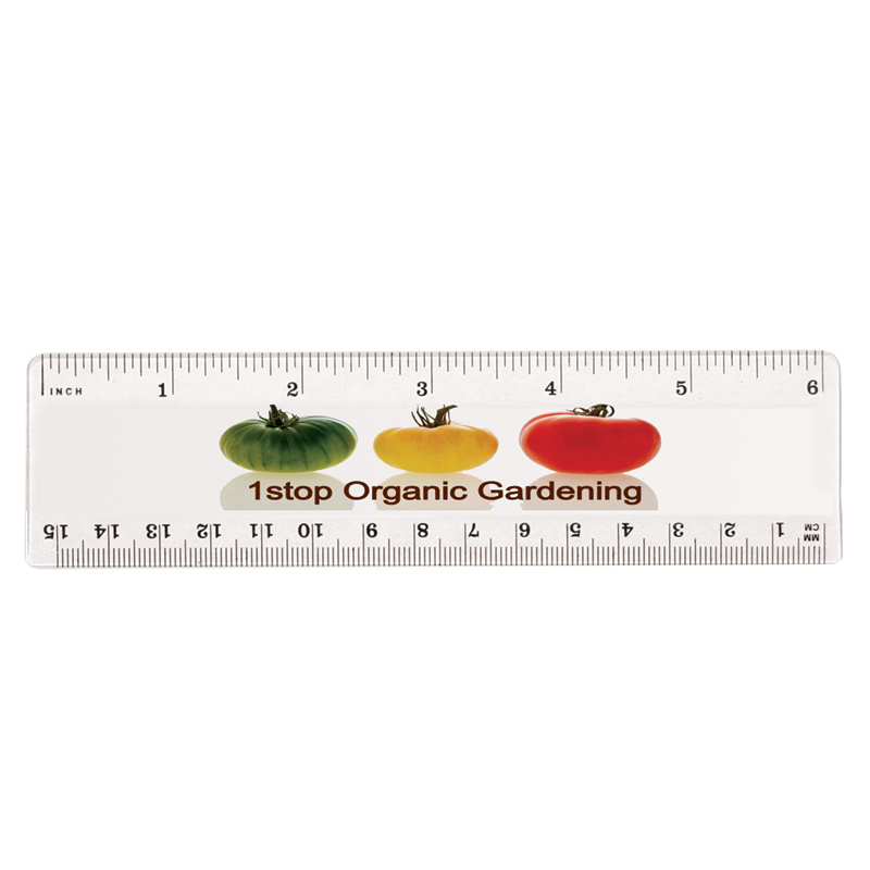 6" Plastic Ruler (front), Full Color Digital